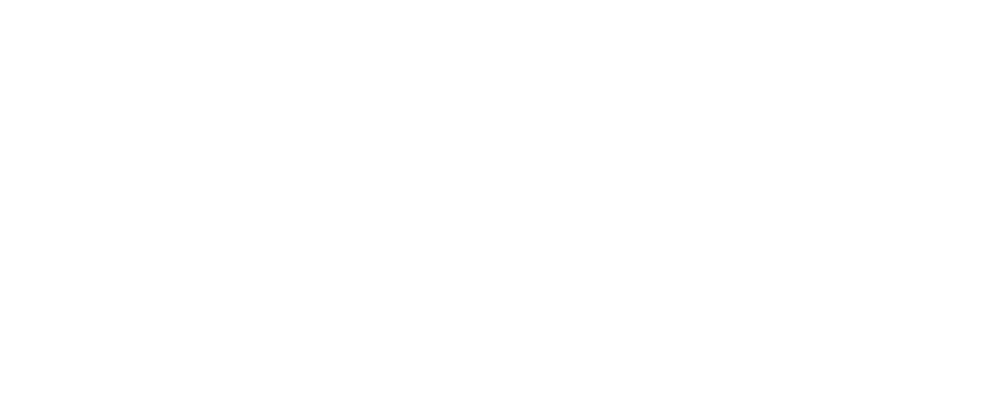 aniversario 30 de nelore de oro