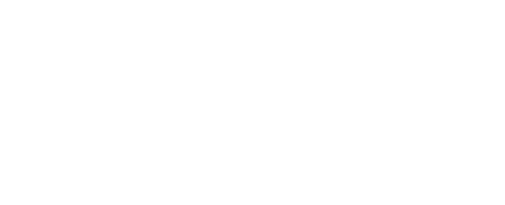 aniversario 30 de nelore de oro